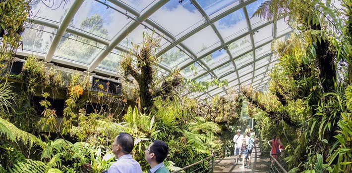 新加坡植物园：热带植物的天堂