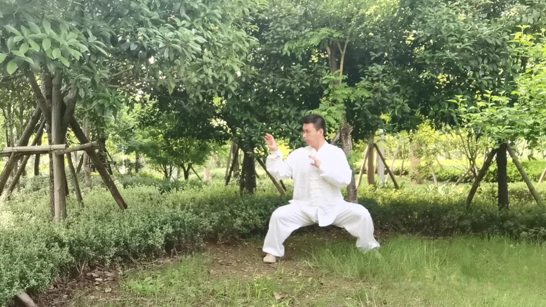 真正的"马步"练法：武术入门的压箱底功夫