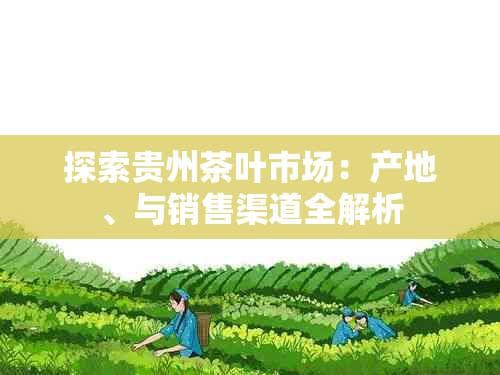探索贵州茶叶市场：产地、种类与销售渠道全解析