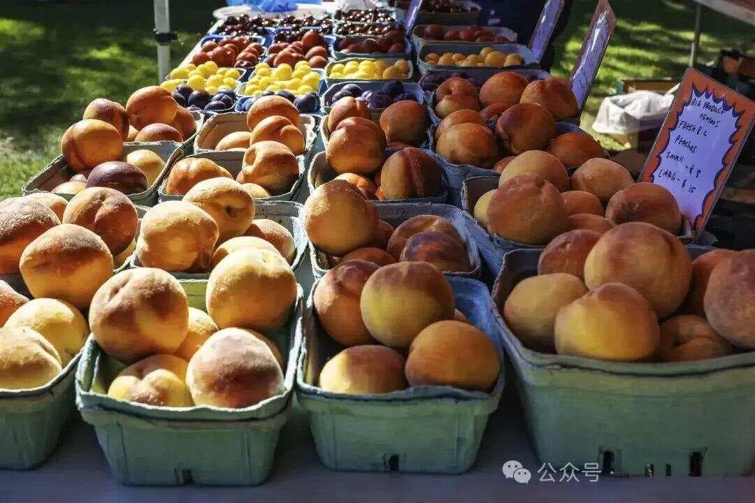 饮食指南：油桃与桃子有何区别？