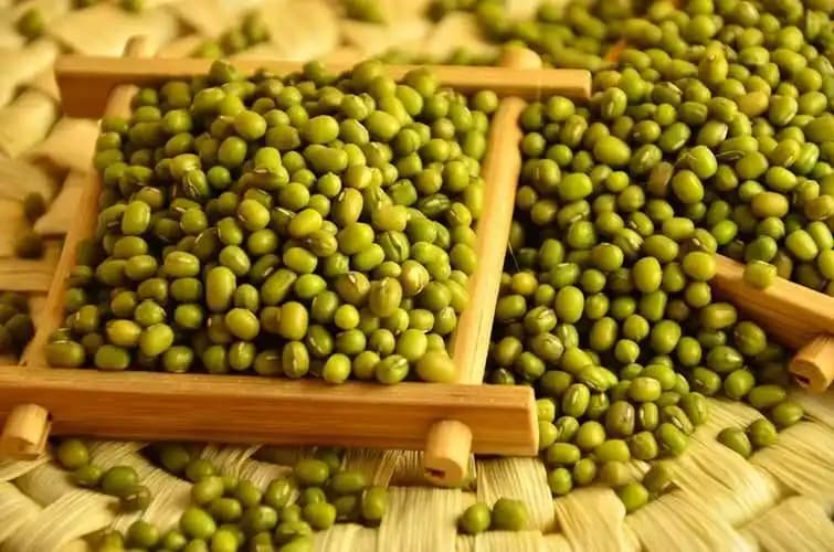 绿豆和它一起煮，湿气没了，失眠好了，通便还清肝