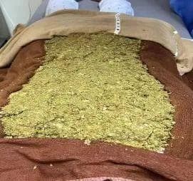 炎炎三伏天，铺灸正当时