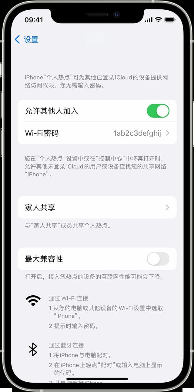 如何在 iPhone 或 iPad 上设置个人热点