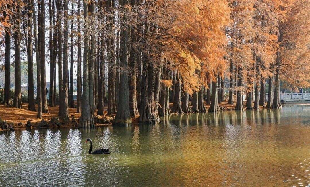 千古诗词，最美在秋天！十首最经典的秋词