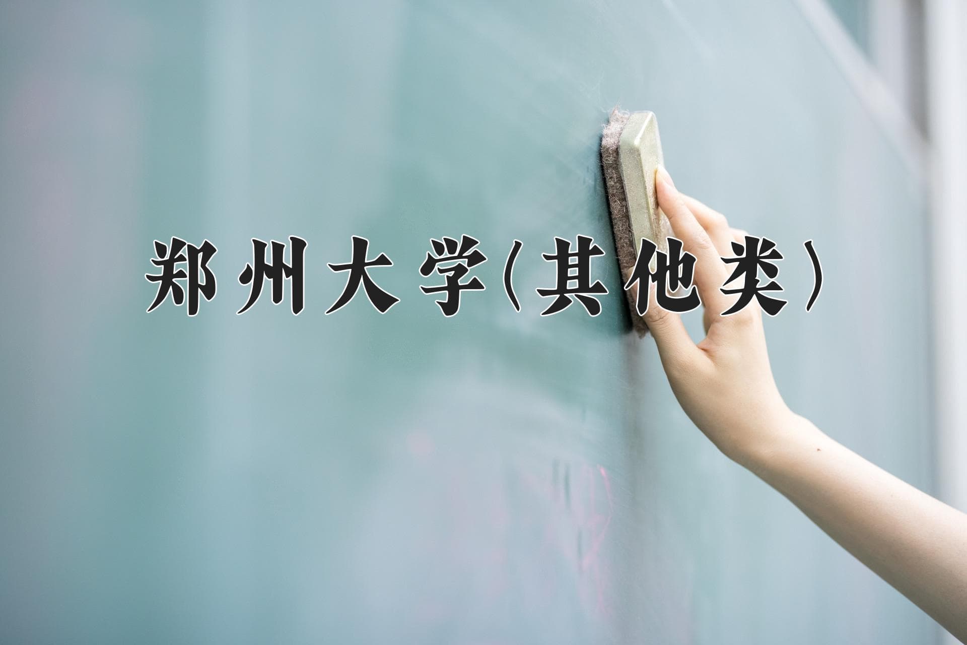 2024郑州大学(其他类)在河南录取分数线及位次：2025年考生填报参考