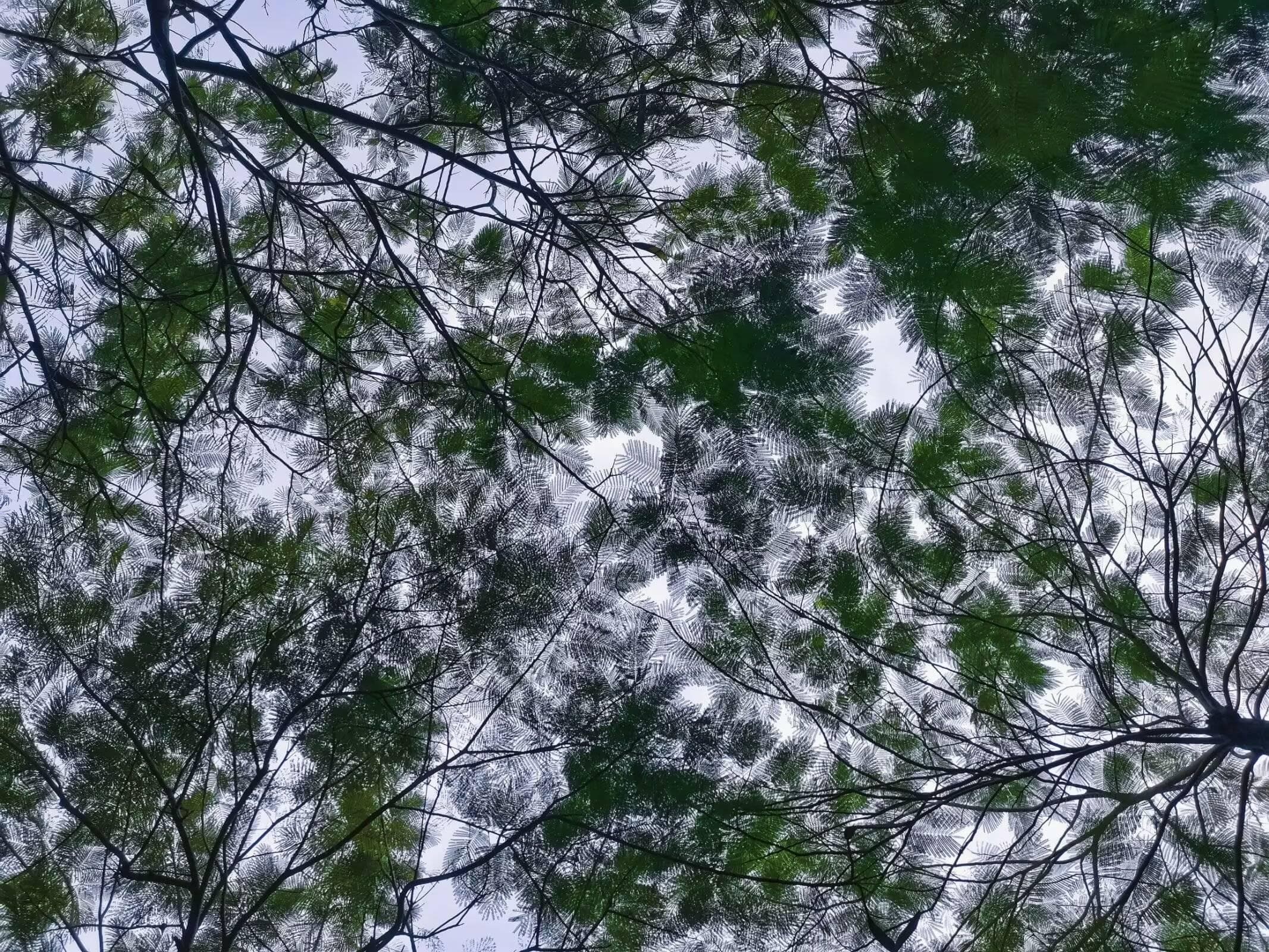 被班里同学冷暴力怎么办？这份应对指南请收好