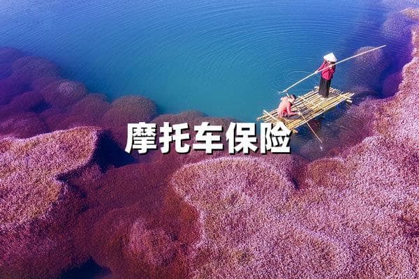 摩托车保险怎么买？2025年最全险种解析与购买指南