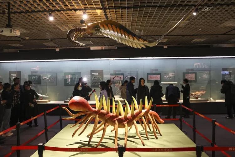 210件珍贵化石与模型再现寒武纪澄江生物群独特魅力
