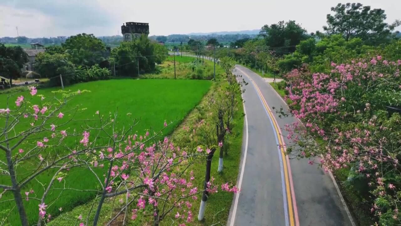 江门：公路建设突出重点 配套设施建设直击“痛点”