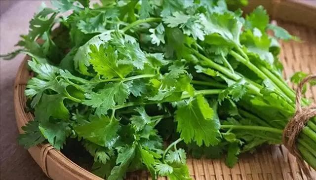 香菜立大功！研究发现：经常吃香菜的人，用不了多久，或有4变化