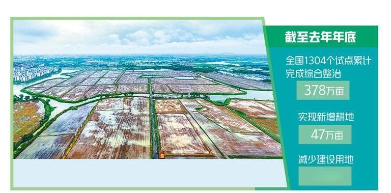 全域土地综合整治激发乡村活力