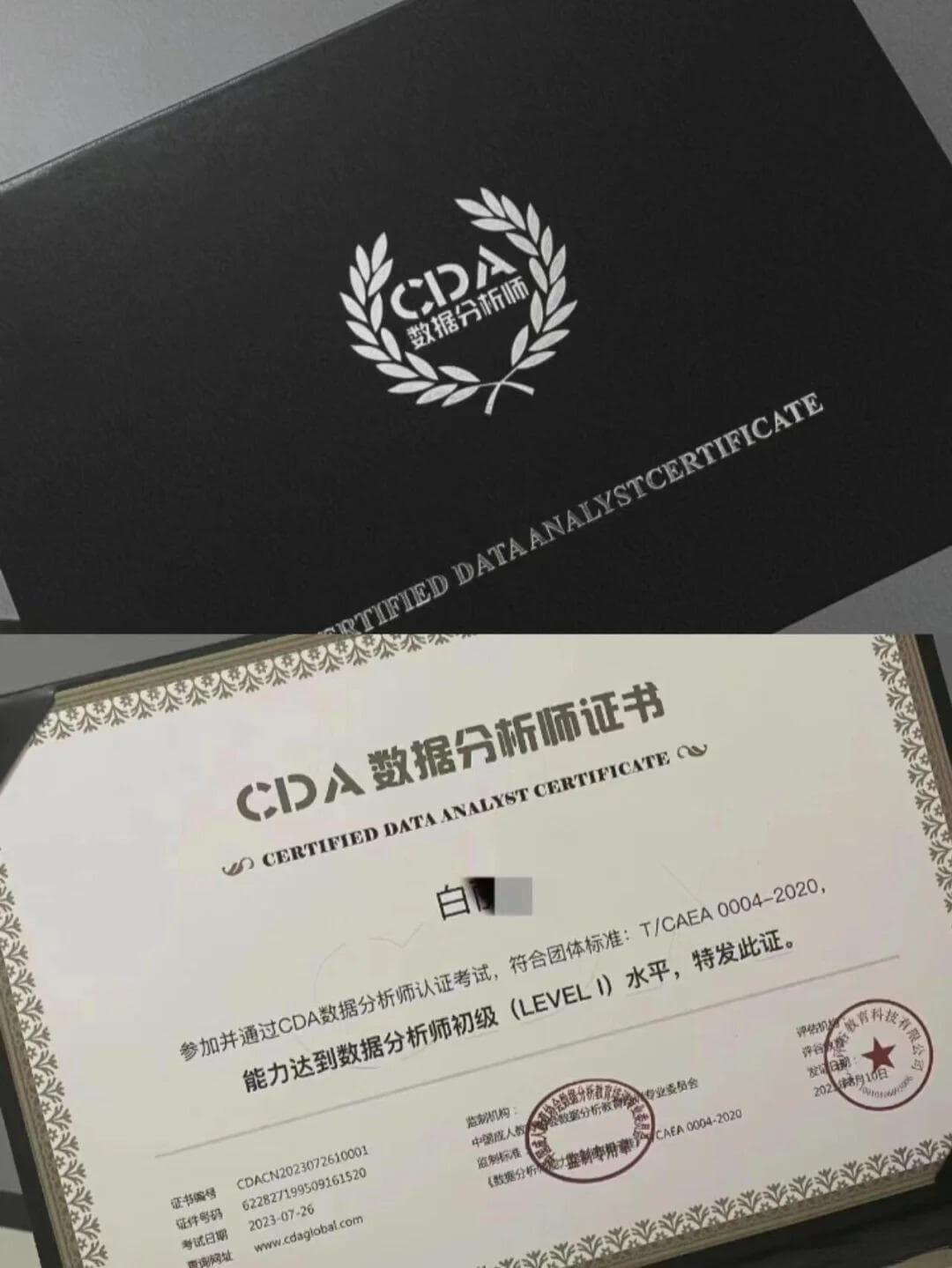 经济统计学专业就业前景全解析：六大领域深度解读