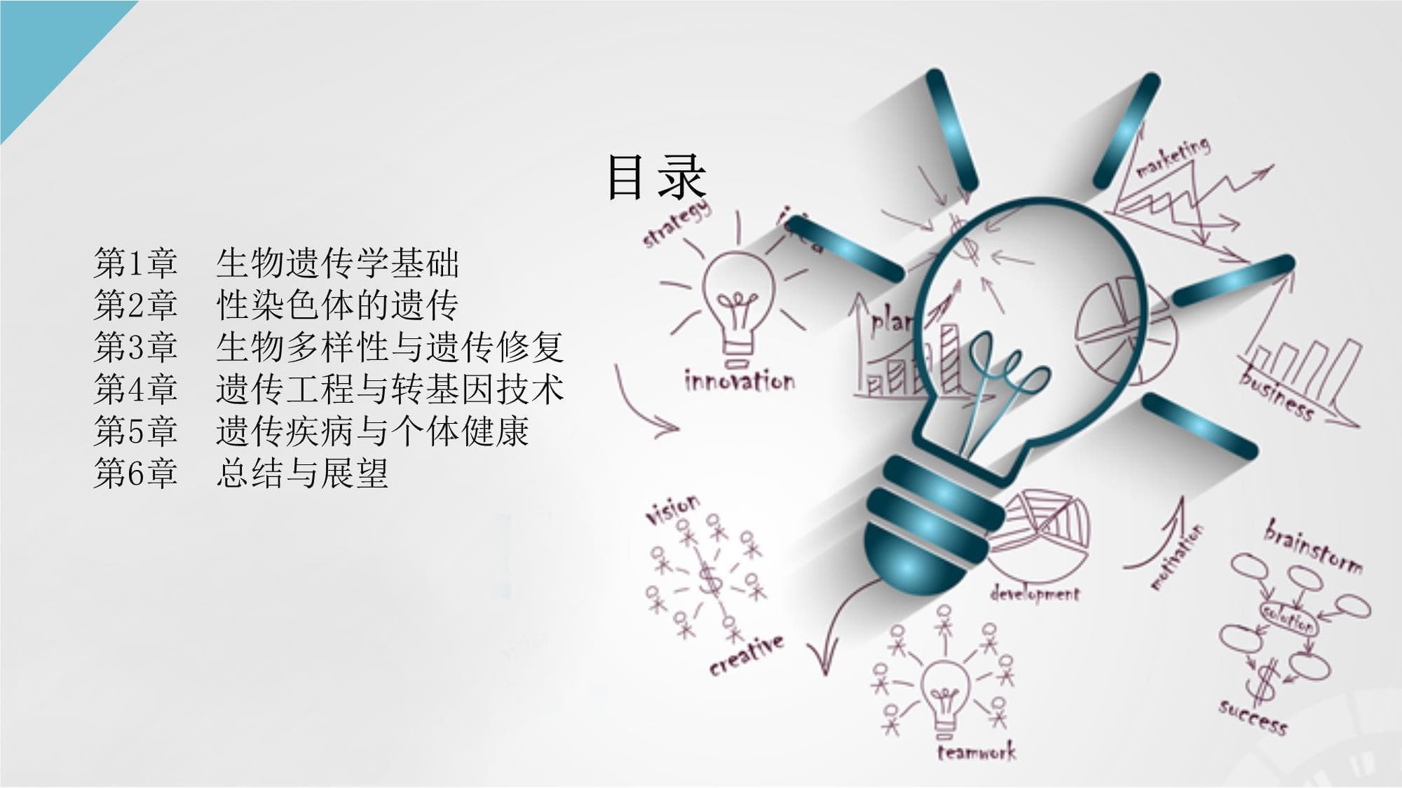 生物遗传与性染色体