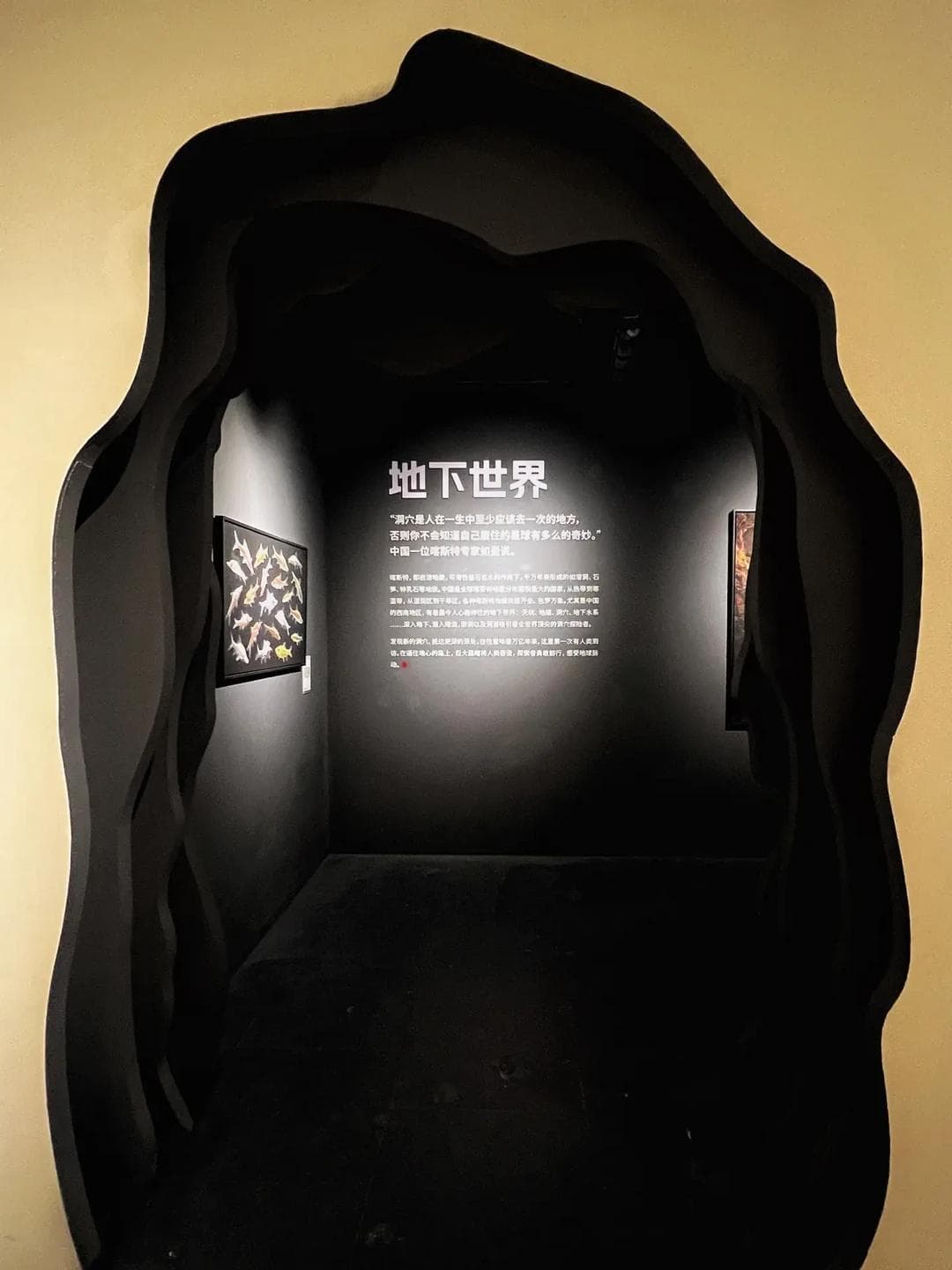 探索极致发现：中国国家地理科学艺术影像展全攻略