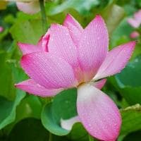 眼镜布可以用肥皂洗吗？专家建议这样做