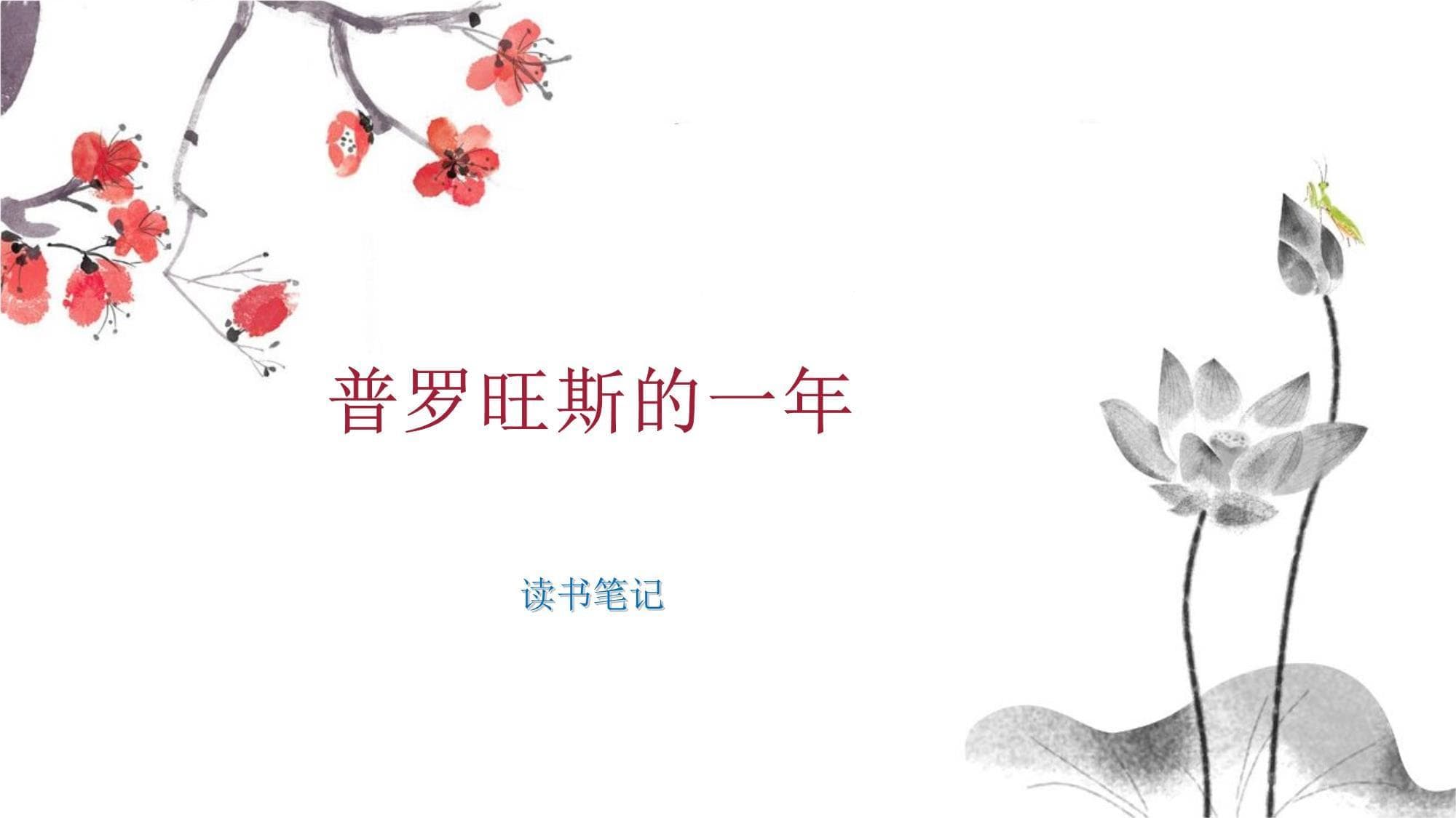 《普罗旺斯的一年》：在简单生活中寻找人生真谛