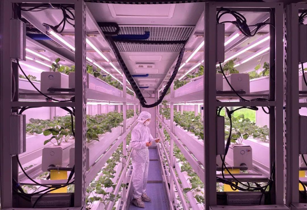 不靠天又省地，产量还翻30倍，温江这家植物工厂是怎么做到的？