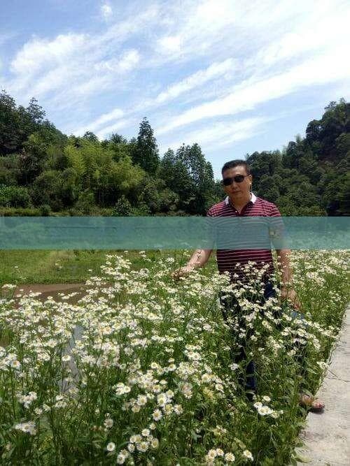恩施清江画廊：自然美景与文化之旅全解析