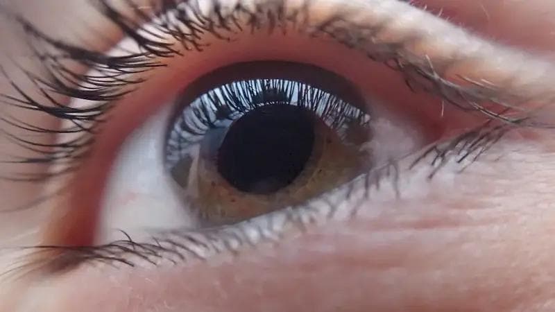 配镜师：完整的职业指南