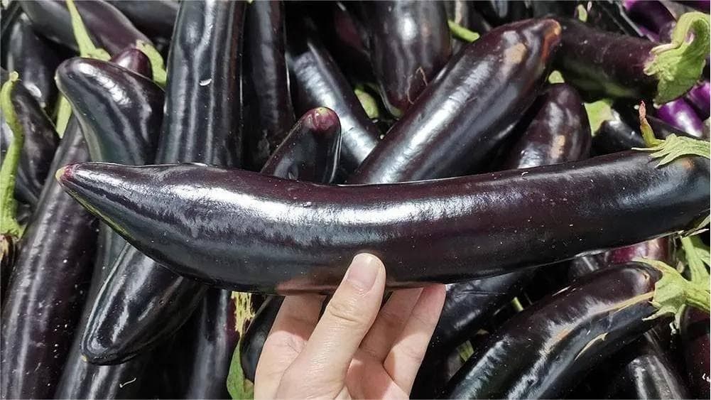 挑选茄子有讲究：从外观、手感到“眼睛”，教你买到最嫩的茄子
