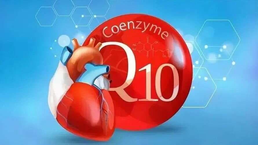 对线粒体很重要的7大营养
