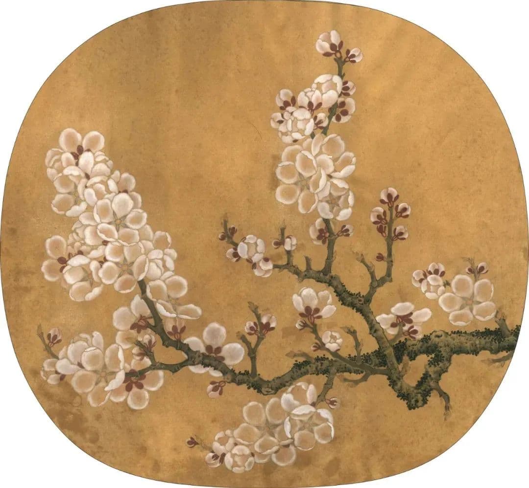 【宁品读】春赏《杏花图》
