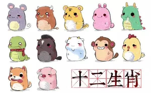 鼠年用mouse 还是 rat ？“今年是我的本命年”英语怎么说？