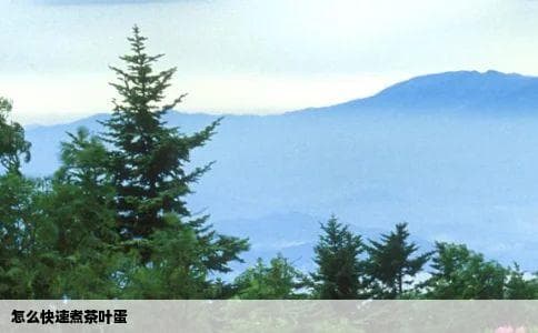 怎么快速煮茶叶蛋