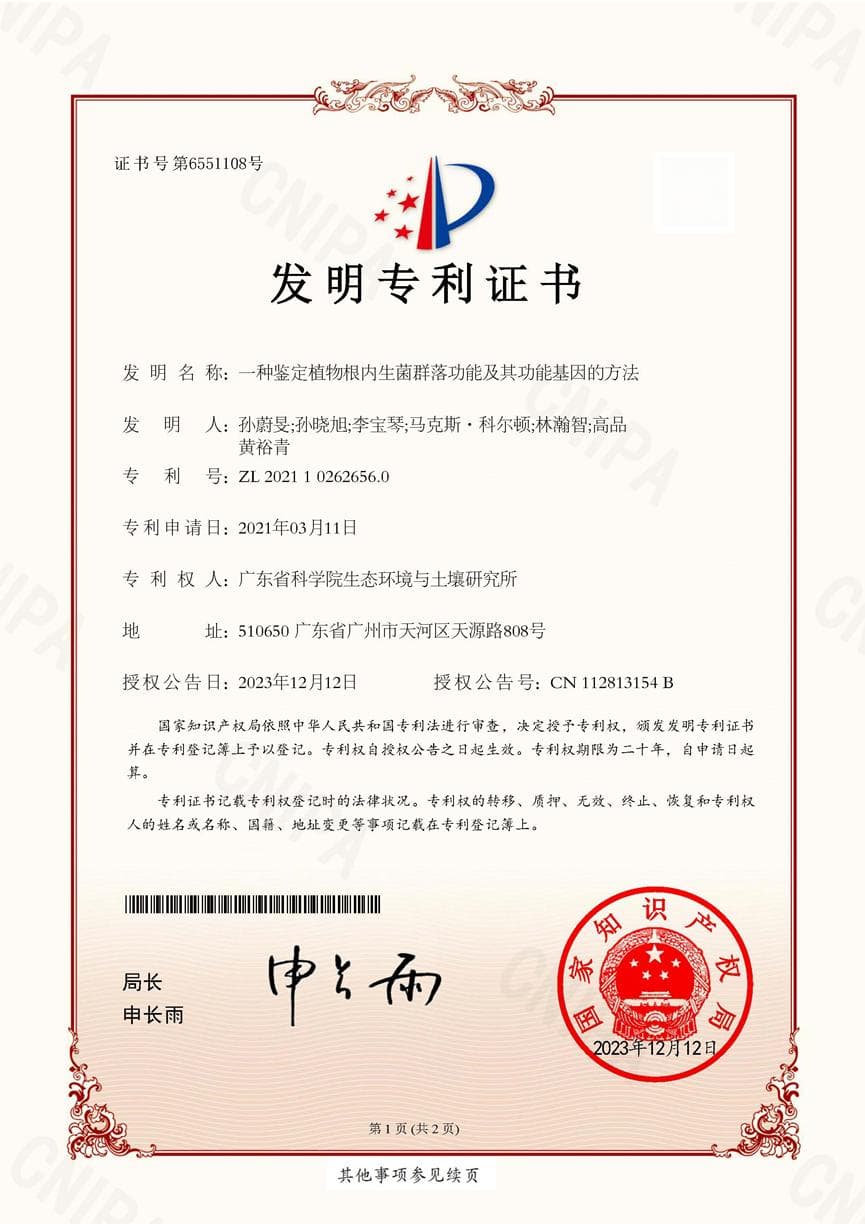 微生物-植物联合修复技术