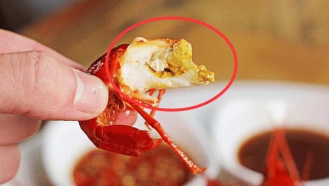 虾头里是“屎”还是“黄”，到底能吃不？虾有3不吃，看完涨知识
