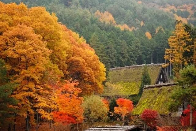 飞驒高山完全指南：交通、景点、美食、住宿、圣地巡礼一看就懂