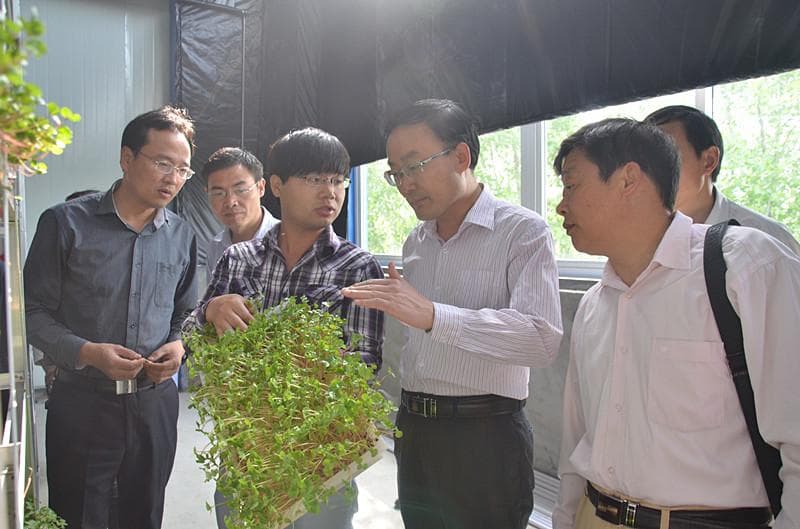 物价变动的原因是什么？对经济和生活有哪些影响？