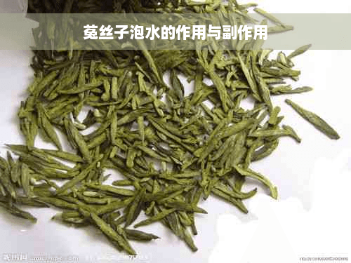 菟丝子泡水的作用与副作用