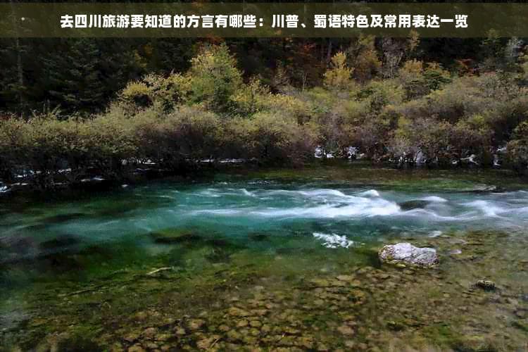 去四川旅游要知道的方言有哪些：川普、蜀语特色及常用表达一览