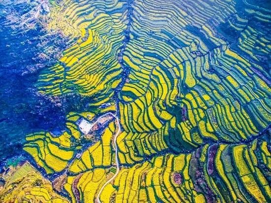 体荟四季｜正是江南踏春时！这5条油菜花赏花路线，一起享受春天