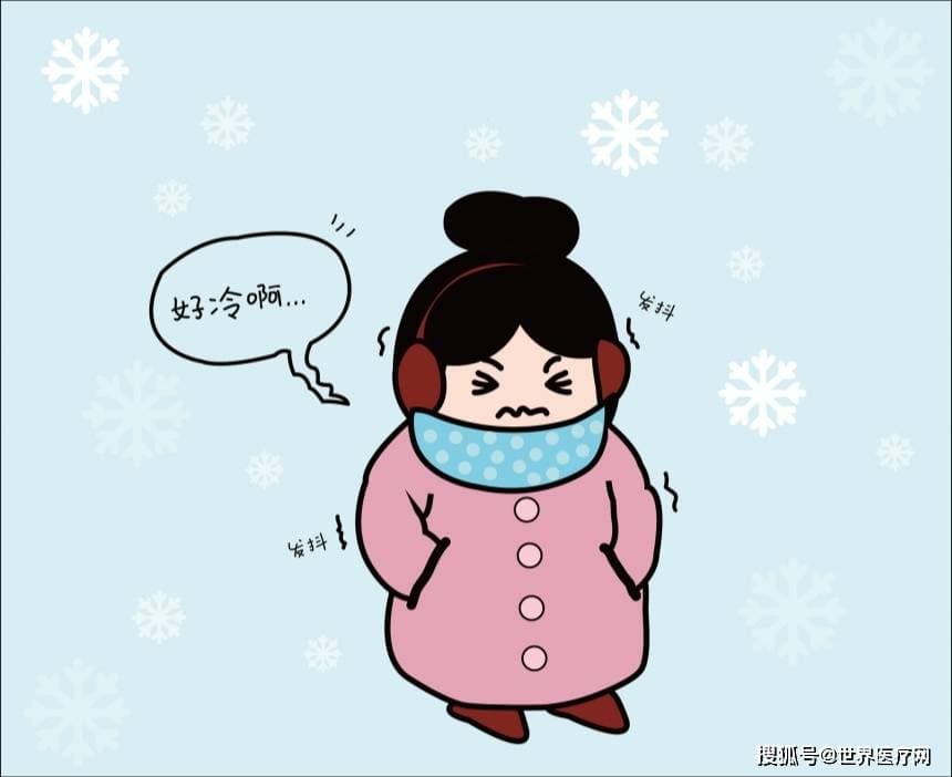 冬季女性补血指南