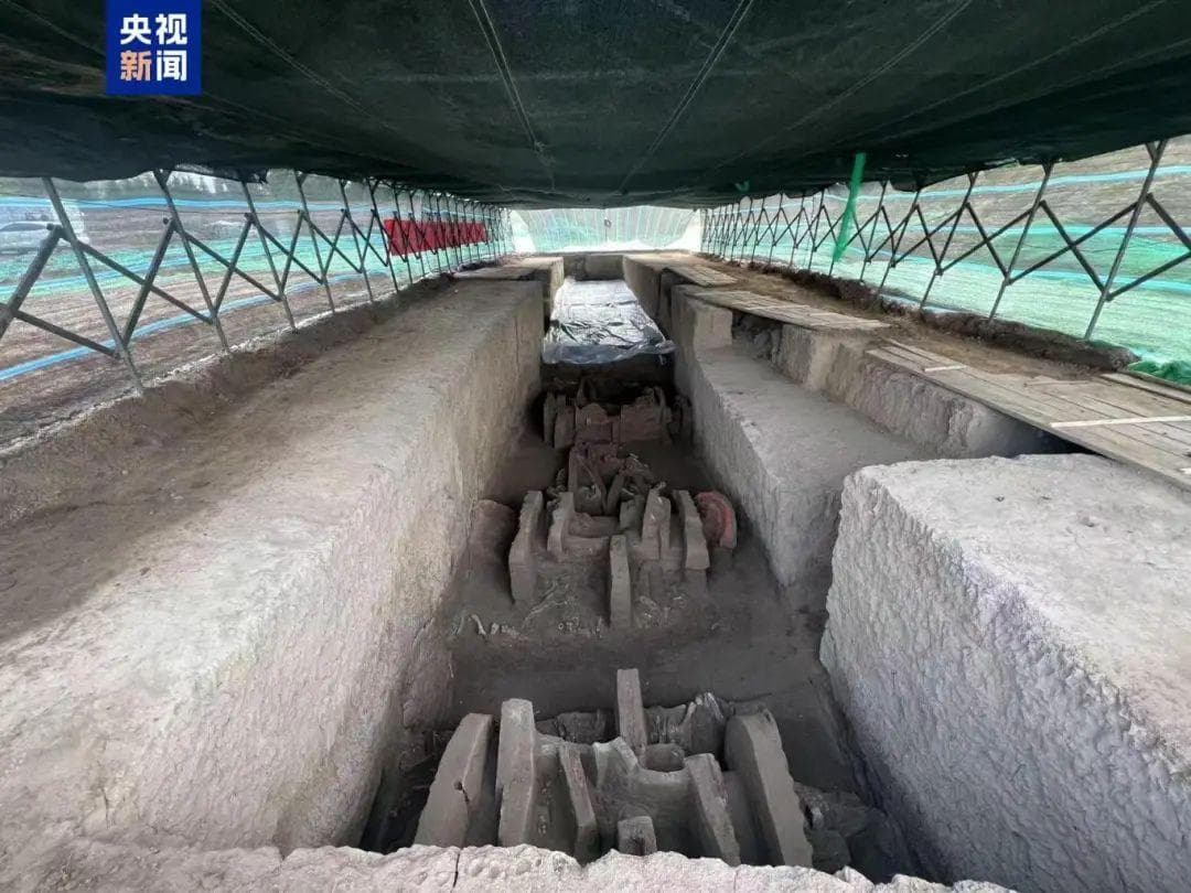 西安考古重大发现：3000余座古墓葬揭示秦文化发展脉络