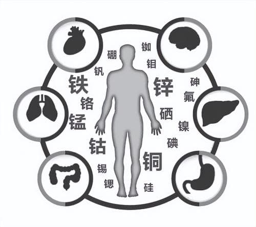 你知道，微量元素对人体都有哪些重要作用吗？