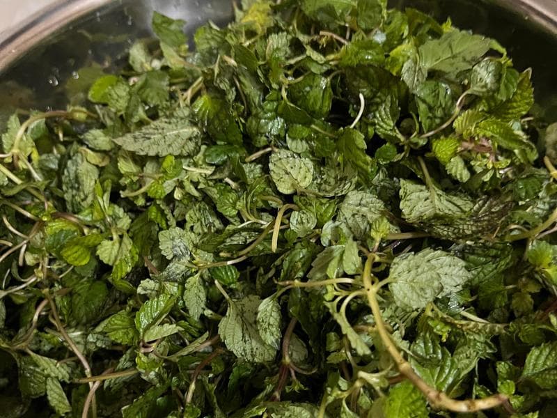 广东特色小吃——绿凉粉