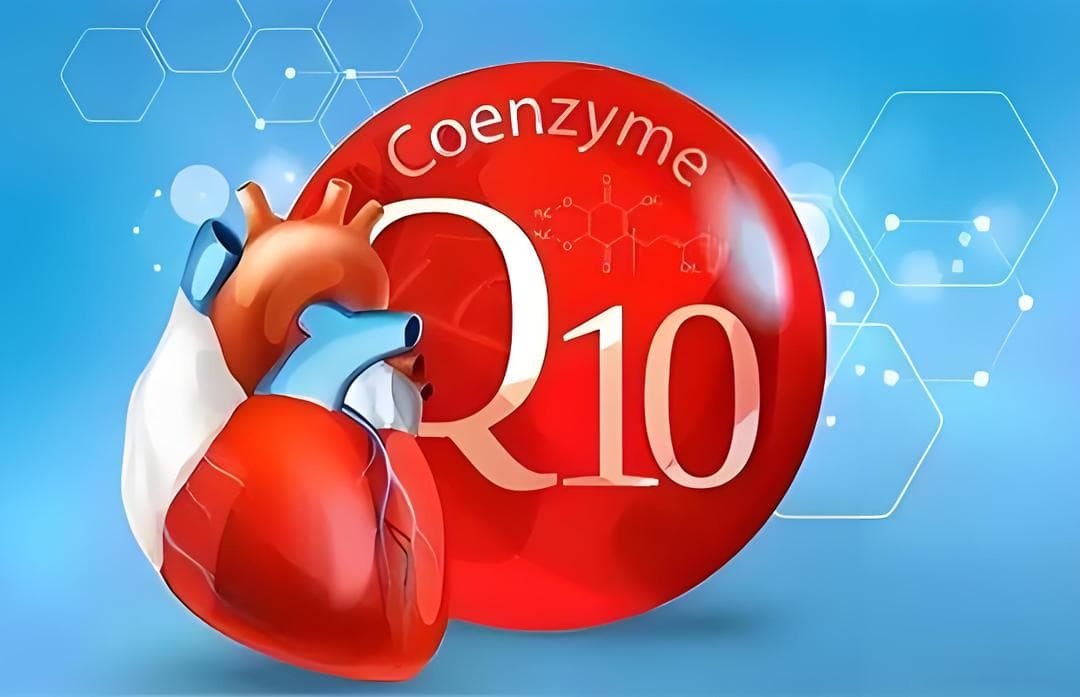 全面了解辅酶Q10，科学揭秘辅酶Q10