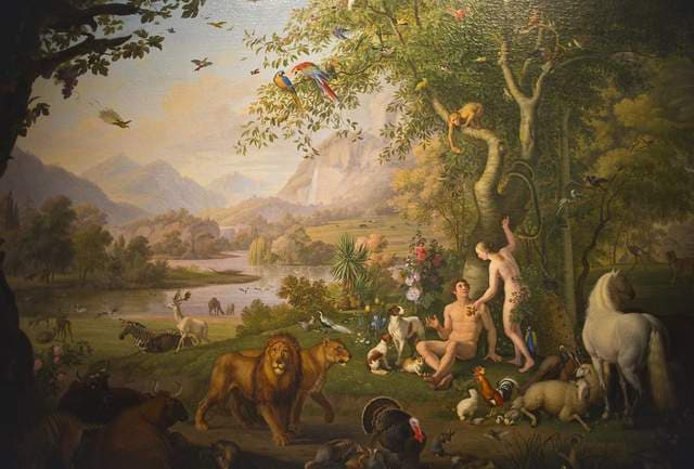 了解生物发展史，第一颗蛋是怎么来的？先有鸡还是先有蛋？