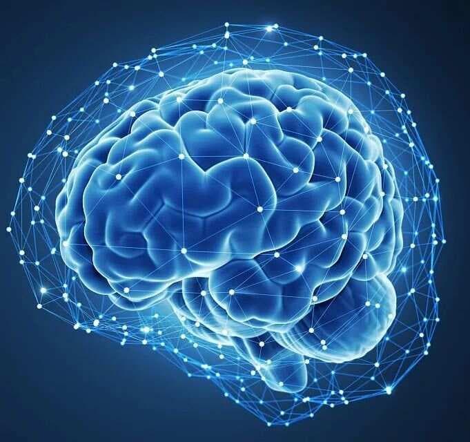 加强前额叶功能训练，提升自我控制能力