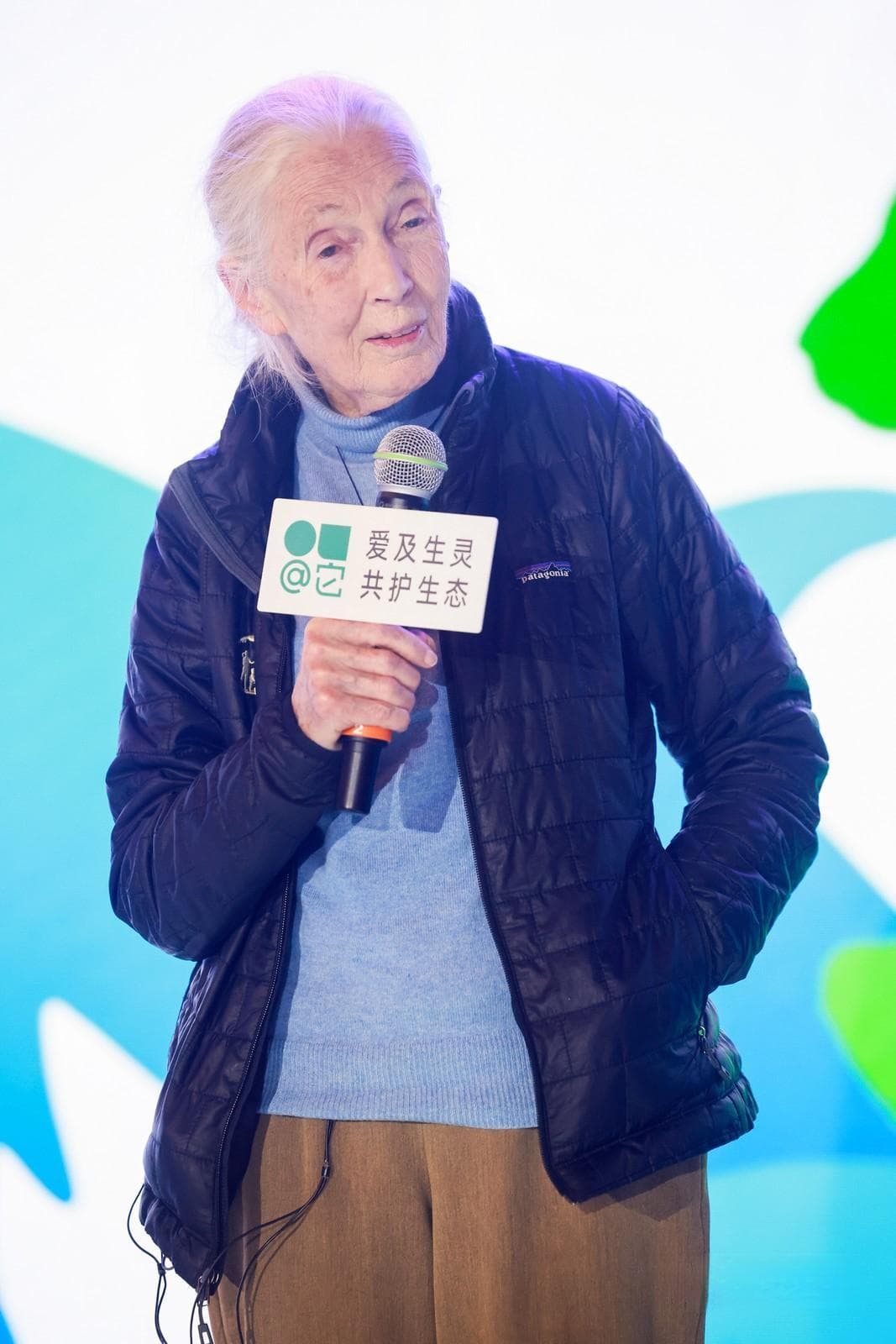 珍·古道尔中国行：根与芽项目30年，播撒环保希望
