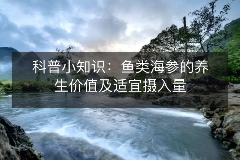 科普小知识：鱼类海参的养生价值及适宜摄入量