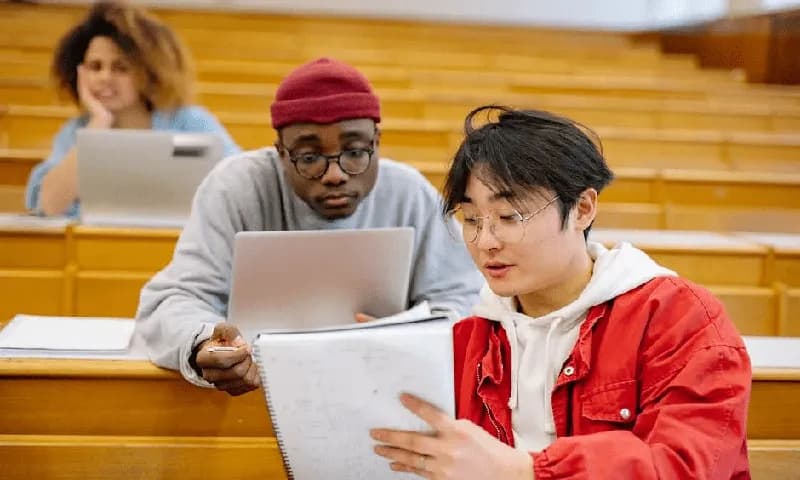 在中国诗歌和现代文学中，白描的运用