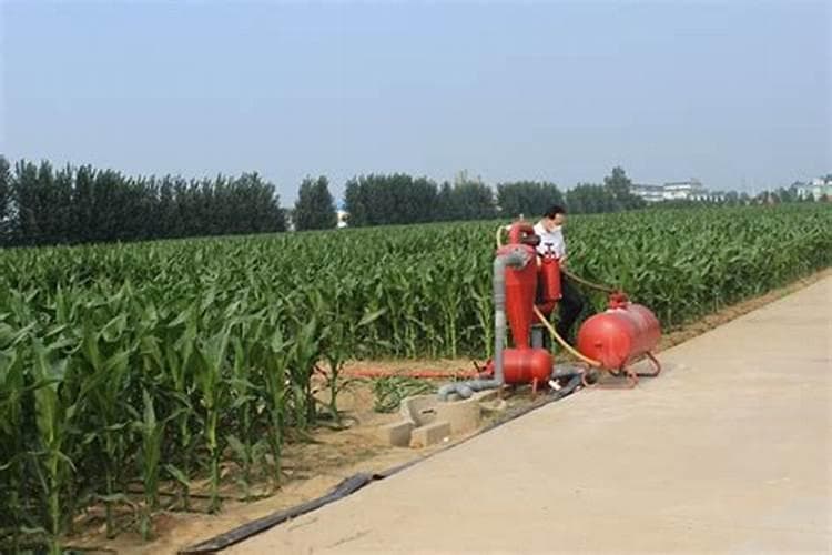 专家解析：夏玉米高产栽培六大关键技术