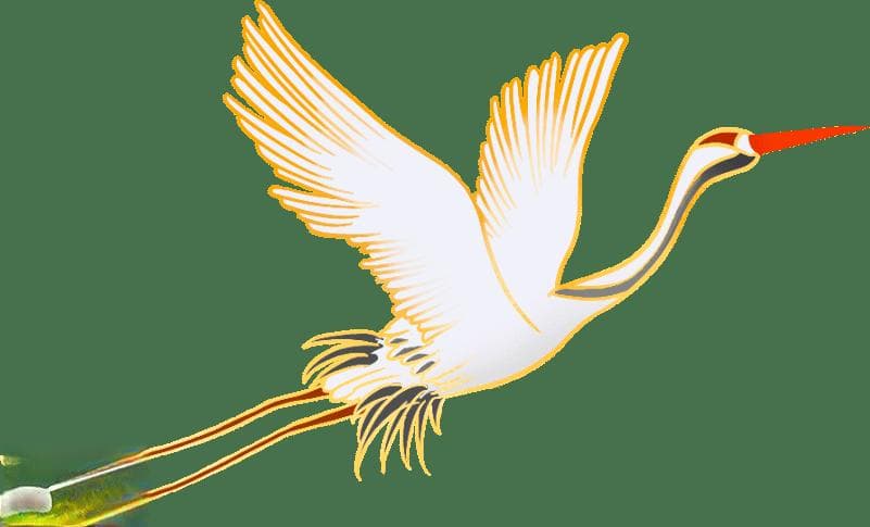 【中医养生】子午流注 ——十二时辰养生法