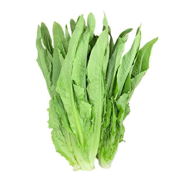 云南油麦菜周年高效绿色生产技术