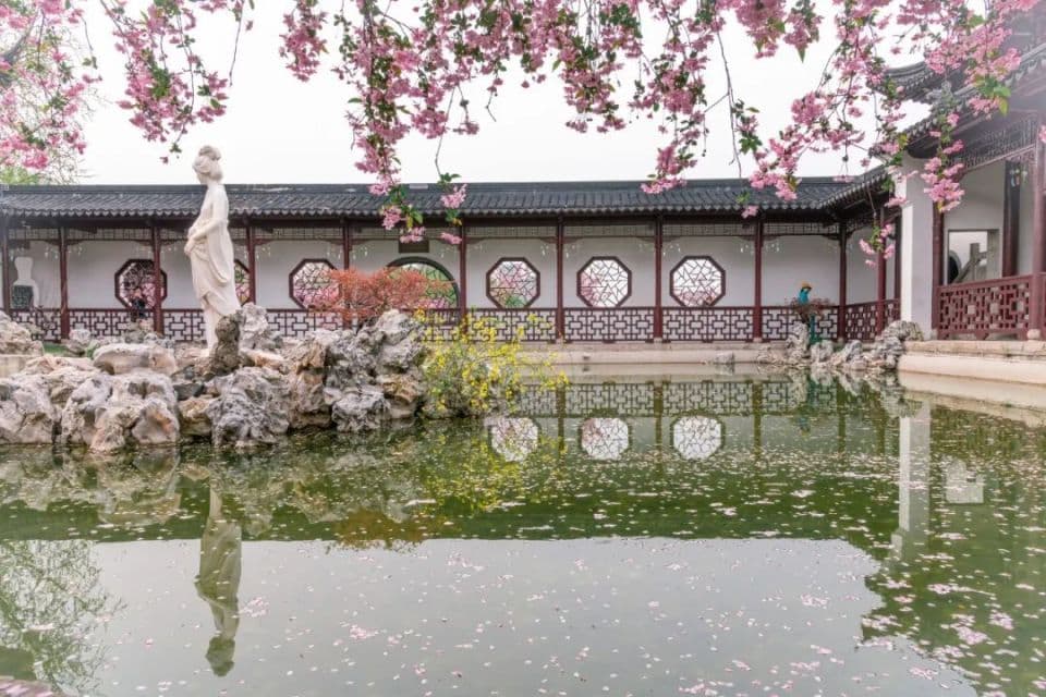 春分，昼夜平分，春意正浓时