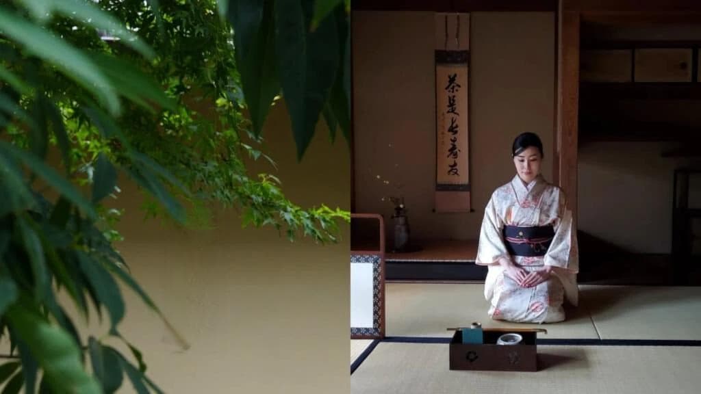 茶与现代设计：探讨现代茶具、茶包装设计的潮流与美学